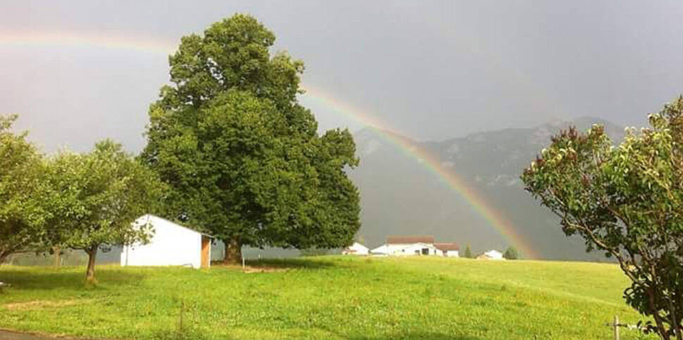 Gästehaus Schusterbauer in Inzell