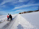 Winterspaziergang zum Hof